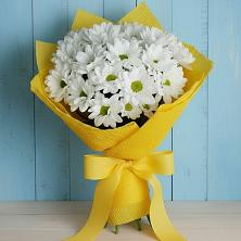 Букет цветов из:  Хризантемы в Сенгилее