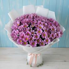 Букет цветов из:  Хризантемы в Сенгилее