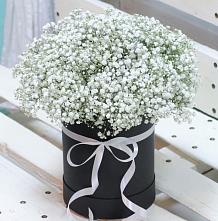 Цветочная композиция из Гипсофила в шляпной коробке #REPLACE_PRED# Сенгилее